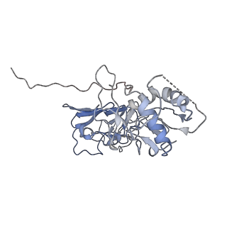 32841_7wut_C_v1-0
CryoEM structure of stable sNS1 tetramer