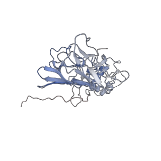 32841_7wut_D_v1-0
CryoEM structure of stable sNS1 tetramer