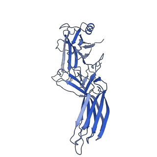 37849_8wu1_C_v1-0
Cryo-EM structure of CB1-beta-arrestin1 complex