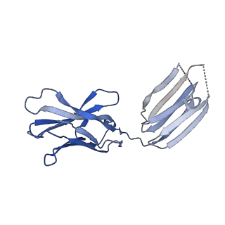 37849_8wu1_H_v1-0
Cryo-EM structure of CB1-beta-arrestin1 complex