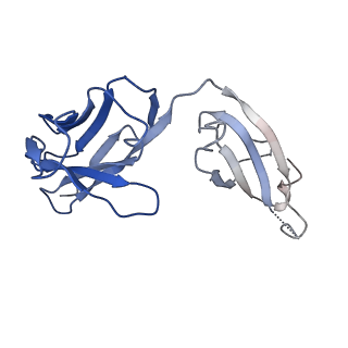 37849_8wu1_L_v1-0
Cryo-EM structure of CB1-beta-arrestin1 complex