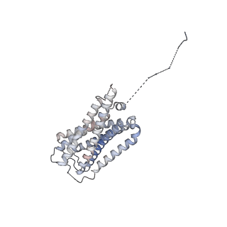 37849_8wu1_R_v1-0
Cryo-EM structure of CB1-beta-arrestin1 complex