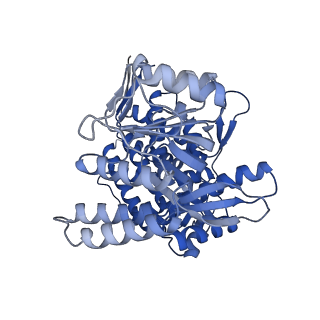 37850_8wu4_A_v1-0
Cryo-EM structure of native H. thermoluteolus TH-1 GroEL