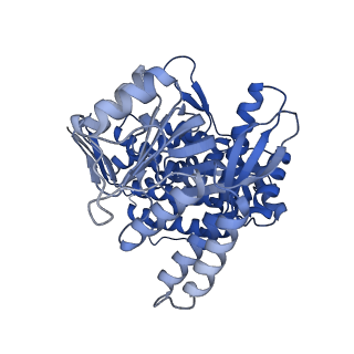 37850_8wu4_B_v1-0
Cryo-EM structure of native H. thermoluteolus TH-1 GroEL