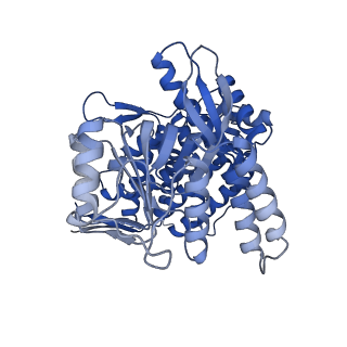 37850_8wu4_C_v1-0
Cryo-EM structure of native H. thermoluteolus TH-1 GroEL