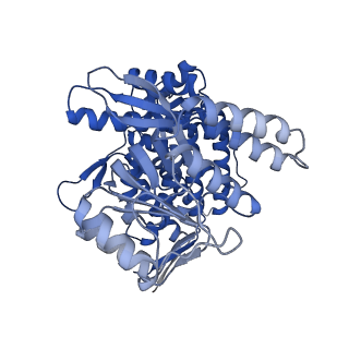 37850_8wu4_D_v1-0
Cryo-EM structure of native H. thermoluteolus TH-1 GroEL