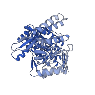 37850_8wu4_E_v1-0
Cryo-EM structure of native H. thermoluteolus TH-1 GroEL