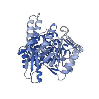 37850_8wu4_F_v1-0
Cryo-EM structure of native H. thermoluteolus TH-1 GroEL