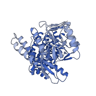 37850_8wu4_G_v1-0
Cryo-EM structure of native H. thermoluteolus TH-1 GroEL