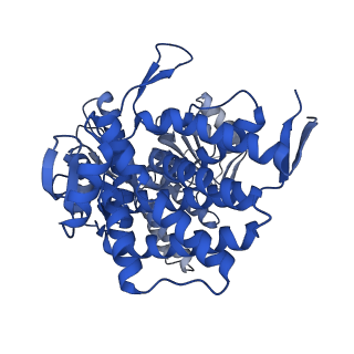 37850_8wu4_H_v1-0
Cryo-EM structure of native H. thermoluteolus TH-1 GroEL