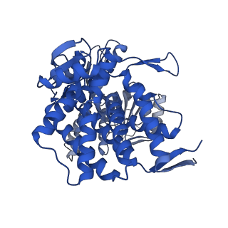 37850_8wu4_I_v1-0
Cryo-EM structure of native H. thermoluteolus TH-1 GroEL