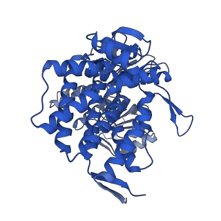 37850_8wu4_J_v1-0
Cryo-EM structure of native H. thermoluteolus TH-1 GroEL