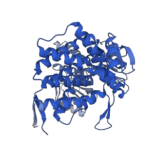 37850_8wu4_K_v1-0
Cryo-EM structure of native H. thermoluteolus TH-1 GroEL