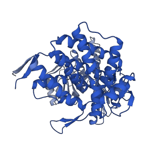 37850_8wu4_L_v1-0
Cryo-EM structure of native H. thermoluteolus TH-1 GroEL