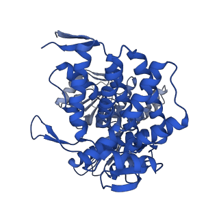 37850_8wu4_M_v1-0
Cryo-EM structure of native H. thermoluteolus TH-1 GroEL