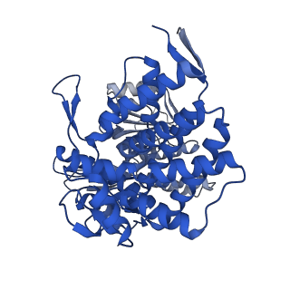 37850_8wu4_N_v1-0
Cryo-EM structure of native H. thermoluteolus TH-1 GroEL