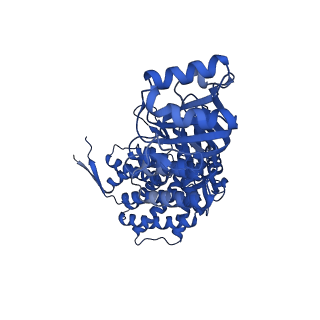 37853_8wuc_A_v1-0
Cryo-EM structure of H. thermoluteolus GroEL-GroES2 football complex