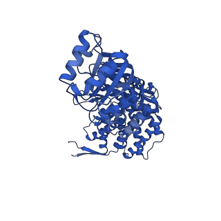 37853_8wuc_B_v1-0
Cryo-EM structure of H. thermoluteolus GroEL-GroES2 football complex