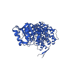 37853_8wuc_C_v1-0
Cryo-EM structure of H. thermoluteolus GroEL-GroES2 football complex