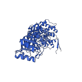 37853_8wuc_D_v1-0
Cryo-EM structure of H. thermoluteolus GroEL-GroES2 football complex