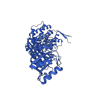 37853_8wuc_E_v1-0
Cryo-EM structure of H. thermoluteolus GroEL-GroES2 football complex