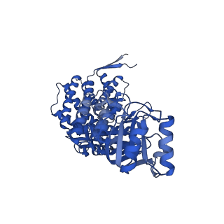 37853_8wuc_F_v1-0
Cryo-EM structure of H. thermoluteolus GroEL-GroES2 football complex