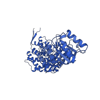 37853_8wuc_G_v1-0
Cryo-EM structure of H. thermoluteolus GroEL-GroES2 football complex