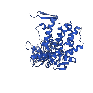 37853_8wuc_H_v1-0
Cryo-EM structure of H. thermoluteolus GroEL-GroES2 football complex