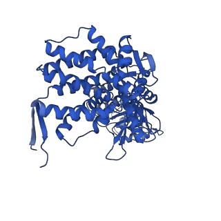 37853_8wuc_J_v1-0
Cryo-EM structure of H. thermoluteolus GroEL-GroES2 football complex