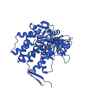 37853_8wuc_K_v1-0
Cryo-EM structure of H. thermoluteolus GroEL-GroES2 football complex