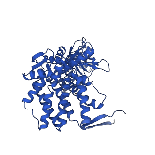 37853_8wuc_L_v1-0
Cryo-EM structure of H. thermoluteolus GroEL-GroES2 football complex