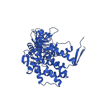 37853_8wuc_M_v1-0
Cryo-EM structure of H. thermoluteolus GroEL-GroES2 football complex
