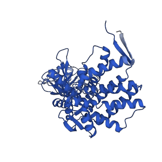 37853_8wuc_N_v1-0
Cryo-EM structure of H. thermoluteolus GroEL-GroES2 football complex