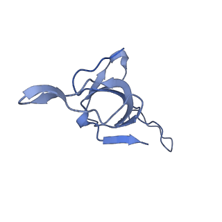 37853_8wuc_a_v1-0
Cryo-EM structure of H. thermoluteolus GroEL-GroES2 football complex