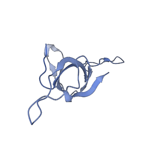 37853_8wuc_b_v1-0
Cryo-EM structure of H. thermoluteolus GroEL-GroES2 football complex