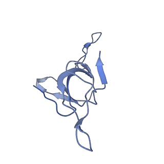 37853_8wuc_c_v1-0
Cryo-EM structure of H. thermoluteolus GroEL-GroES2 football complex