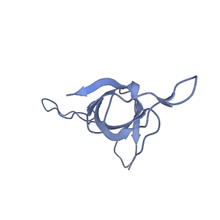 37853_8wuc_e_v1-0
Cryo-EM structure of H. thermoluteolus GroEL-GroES2 football complex