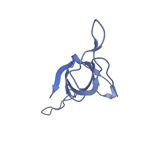 37853_8wuc_f_v1-0
Cryo-EM structure of H. thermoluteolus GroEL-GroES2 football complex
