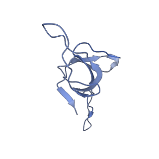 37853_8wuc_g_v1-0
Cryo-EM structure of H. thermoluteolus GroEL-GroES2 football complex