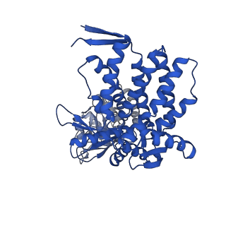 37862_8wuw_A_v1-0
Cryo-EM structure of H. thermophilus GroEL-GroES2 asymmetric football complex