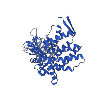 37862_8wuw_B_v1-0
Cryo-EM structure of H. thermophilus GroEL-GroES2 asymmetric football complex