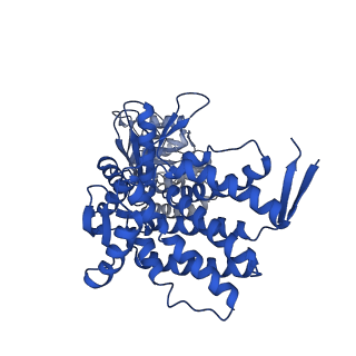 37862_8wuw_C_v1-0
Cryo-EM structure of H. thermophilus GroEL-GroES2 asymmetric football complex