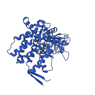 37862_8wuw_E_v1-0
Cryo-EM structure of H. thermophilus GroEL-GroES2 asymmetric football complex