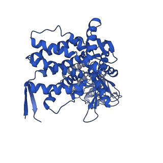 37862_8wuw_F_v1-0
Cryo-EM structure of H. thermophilus GroEL-GroES2 asymmetric football complex