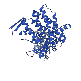 37862_8wuw_G_v1-0
Cryo-EM structure of H. thermophilus GroEL-GroES2 asymmetric football complex