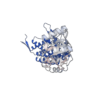 37862_8wuw_H_v1-0
Cryo-EM structure of H. thermophilus GroEL-GroES2 asymmetric football complex