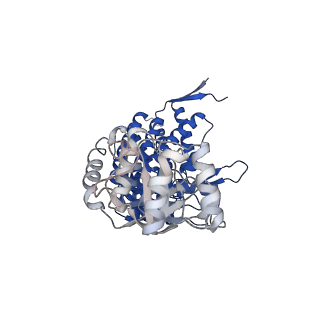 37862_8wuw_J_v1-0
Cryo-EM structure of H. thermophilus GroEL-GroES2 asymmetric football complex