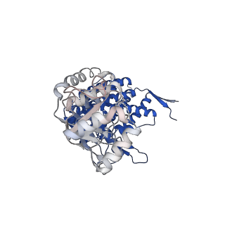 37862_8wuw_K_v1-0
Cryo-EM structure of H. thermophilus GroEL-GroES2 asymmetric football complex