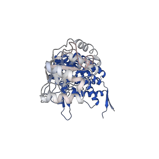 37862_8wuw_L_v1-0
Cryo-EM structure of H. thermophilus GroEL-GroES2 asymmetric football complex