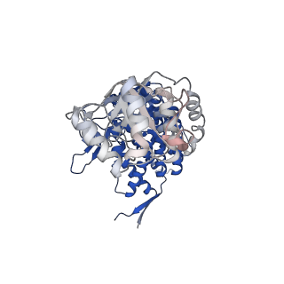 37862_8wuw_M_v1-0
Cryo-EM structure of H. thermophilus GroEL-GroES2 asymmetric football complex